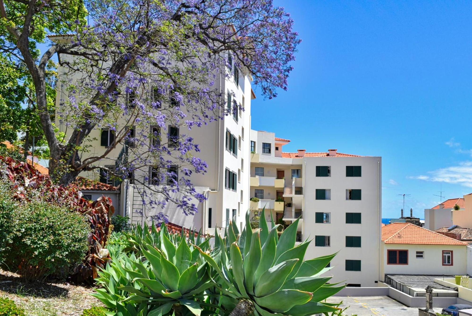 Encarnacao Apartment, A Home In Madeira フンシャル エクステリア 写真