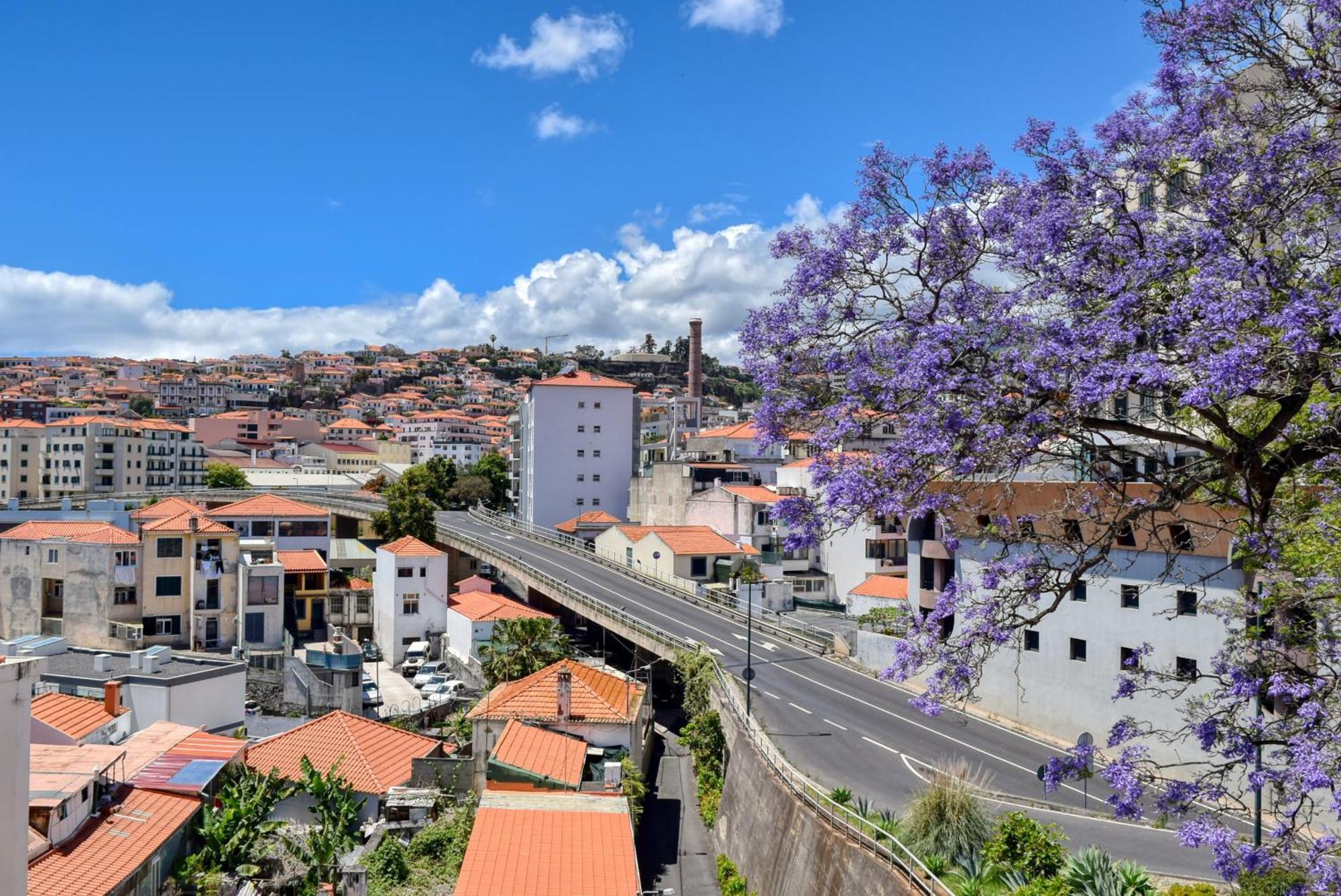 Encarnacao Apartment, A Home In Madeira フンシャル エクステリア 写真